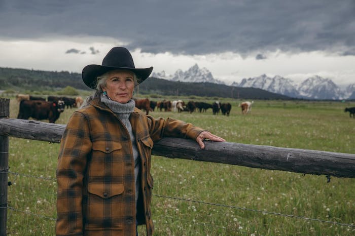 jane standing next to a fence with cattle and mountains in the background