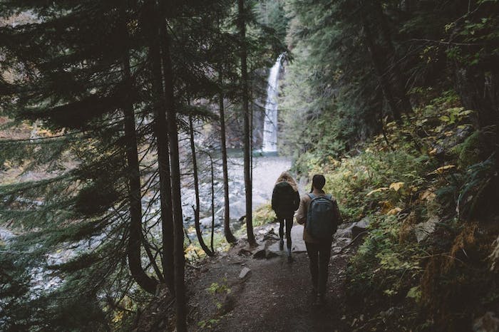 people hiking toward waterfall on forest path