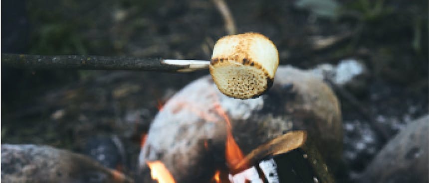 marshmallow on a sharpened stick toasting over a fire