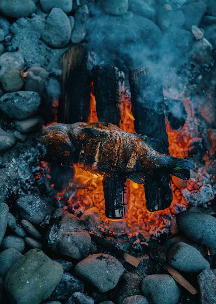 rockfish roasting over red hot coals