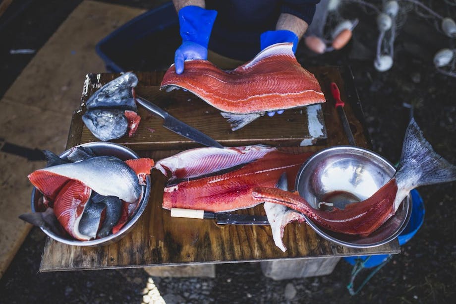 salmon filets on prep table