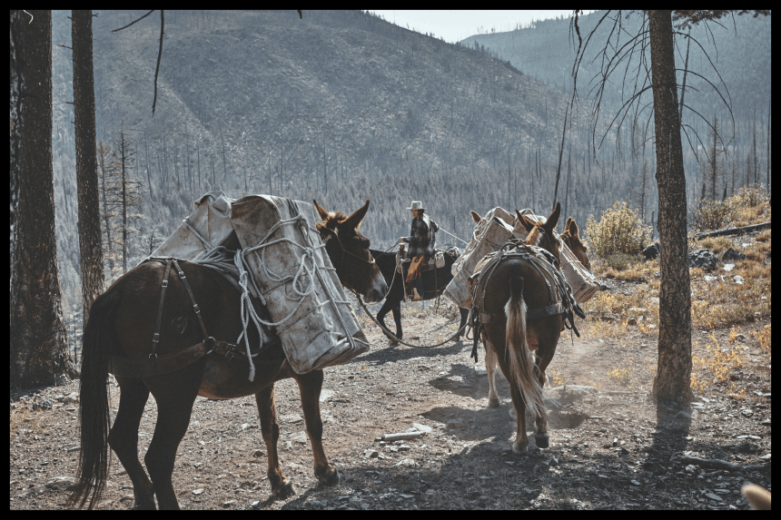 Horse packing train in the wilderness