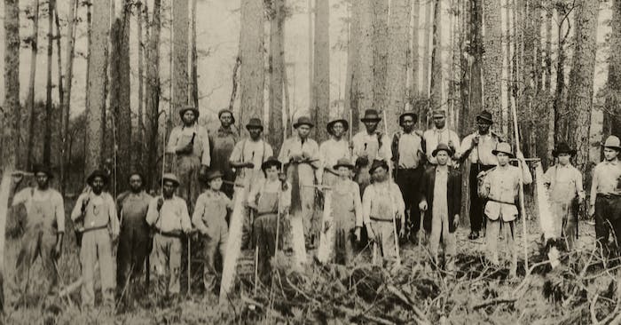group of loggers in white shirts and overalls standing in forest
